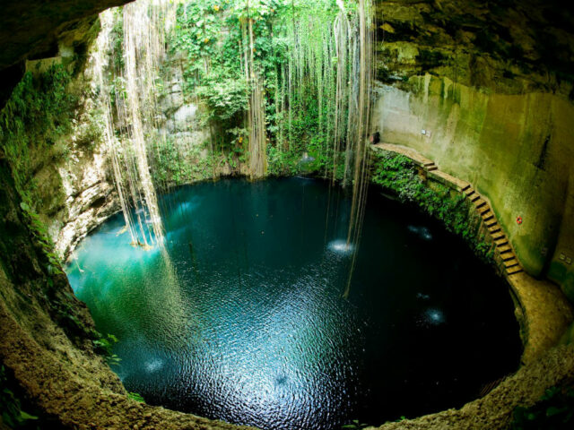 protegeran-cenotes-en-2026-e1765409881811