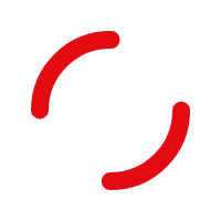 Parásitos de invierno en perros y gatos: Lo que necesitas saber para protegerlos todo el año