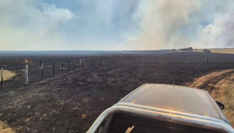 primera-incendio-la-pampa