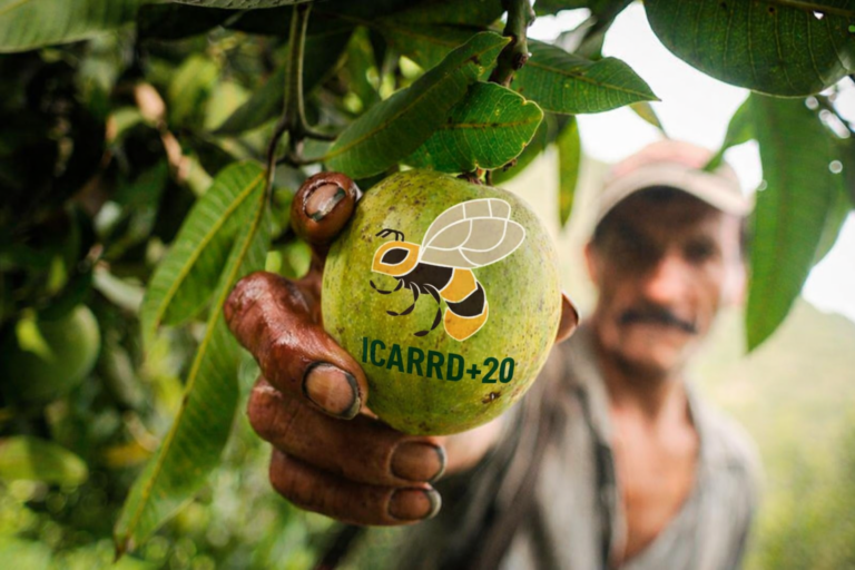 Aguacate y logo ICARRD+20