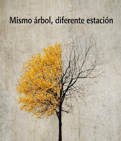 MISMO ÁRBOL, DIFERENTE ESTACIÓN: CUANDO LA VIDA NOS CAMBIA POR DENTRO. MISMO ÁRBOL, DIFERENTE ESTACIÓN: CUANDO LA VIDA NOS CAMBIA POR DENTRO.