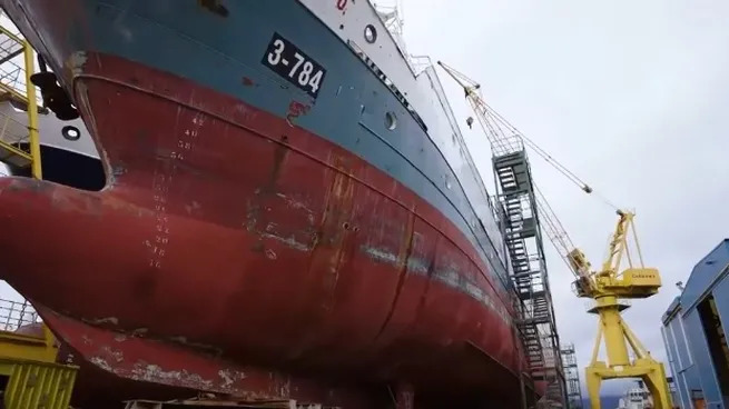 cardama-4