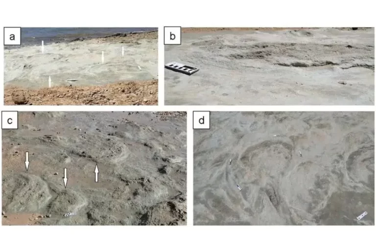 Inédito hallazgo de huellas de dinosaurio en Sudáfrica reescriben la historia del Cretácico temprano