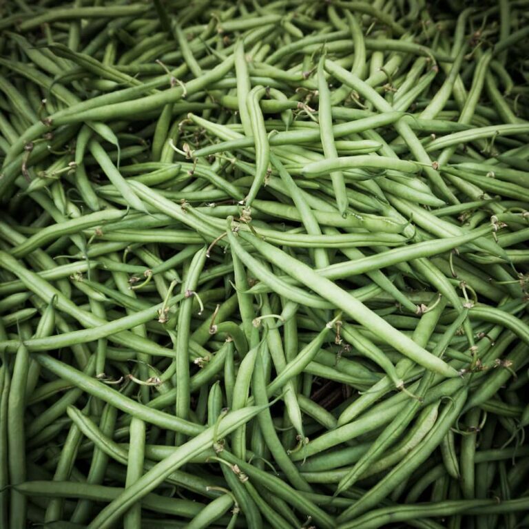 Judías verdes: cómo cocinarlas y las recetas fáciles para aprovecharlas al máximo