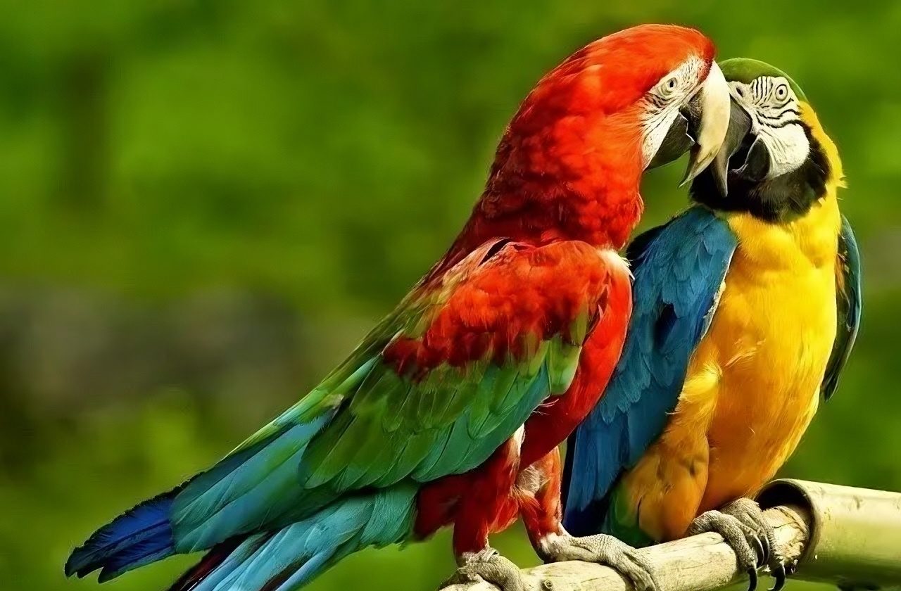 Semana Santa: El Gran Bourbon invita a descubrir opciones de relax dentro de la ciudad Semana Santa: El Gran Bourbon invita a descubrir opciones de relax dentro de la ciudad