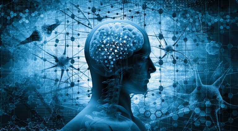 Seis razones de la neurociencia que explican por qué viajar es bueno para el cerebro