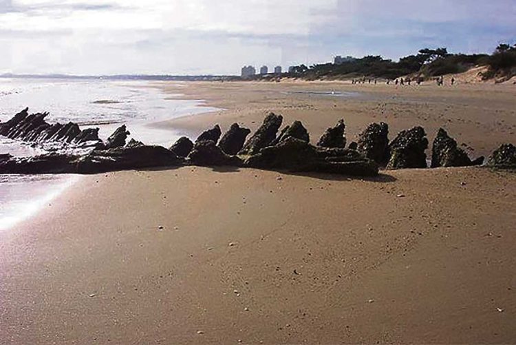 Tesoros bajo el mar: las historias ocultas en las costas de Maldonado