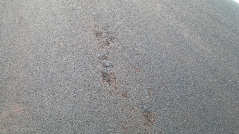 La ​​FIM echa la culpa al calor y a un desagüe desconocido de los problemas en Goiania