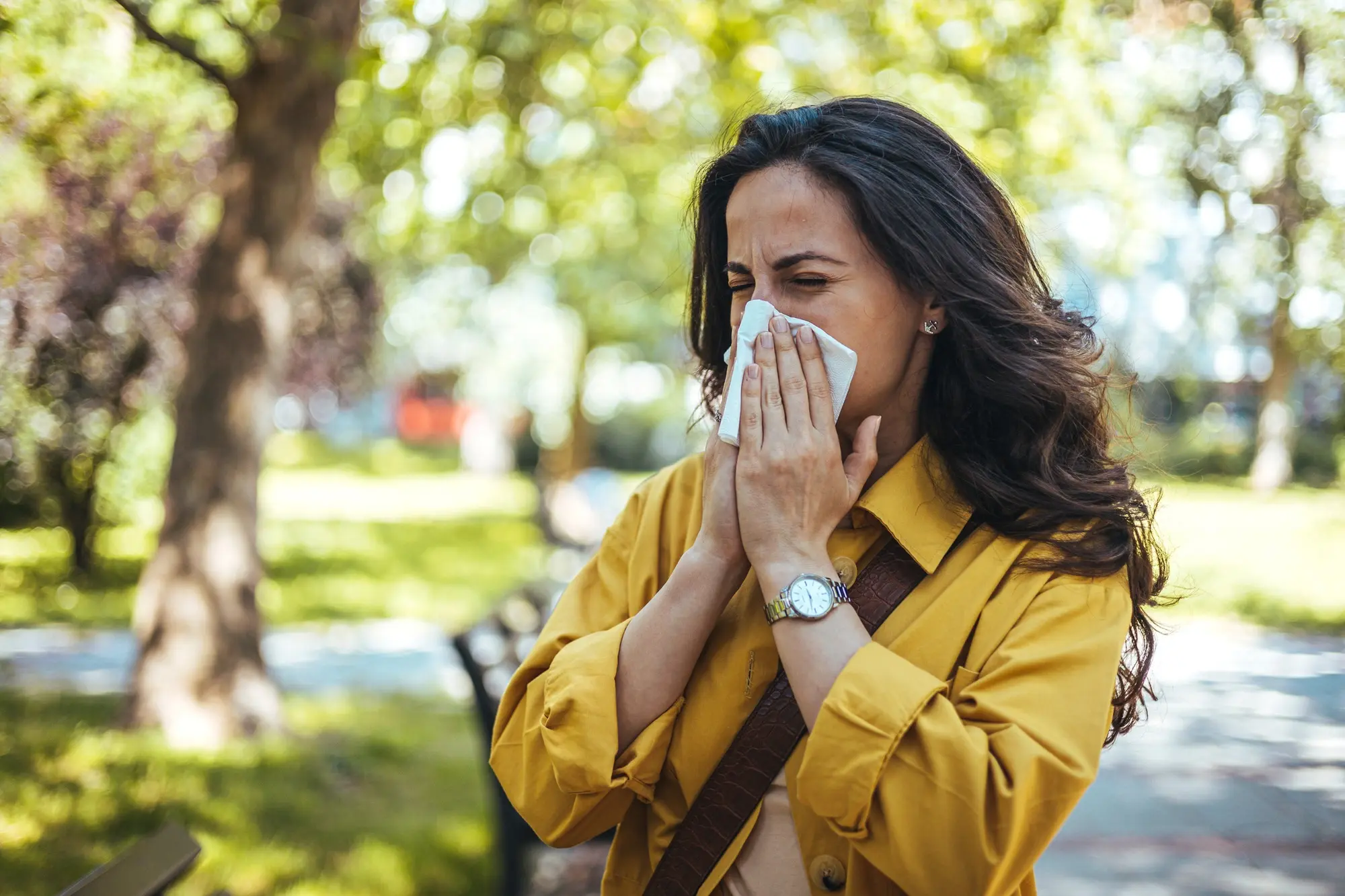 Alergias de otoño: cuáles son las más comunes y cómo proteger la salud ante la llegada del cambio de estación