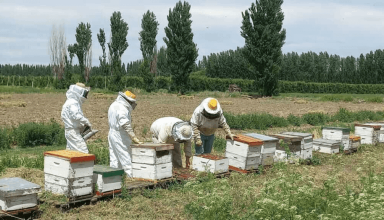 Entre Ríos: llega un crédito internacional de U$S 15 millones para fortalecer la apicultura