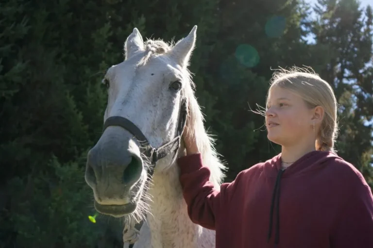 Bariloche crea un programa de adopción responsable de caballos: seguridad vial y bienestar animal en la Patagonia