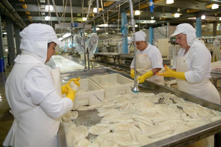 La captura del calamar del primer bimestre de 2026 es récord histórico y ya duplicó la del año anterior