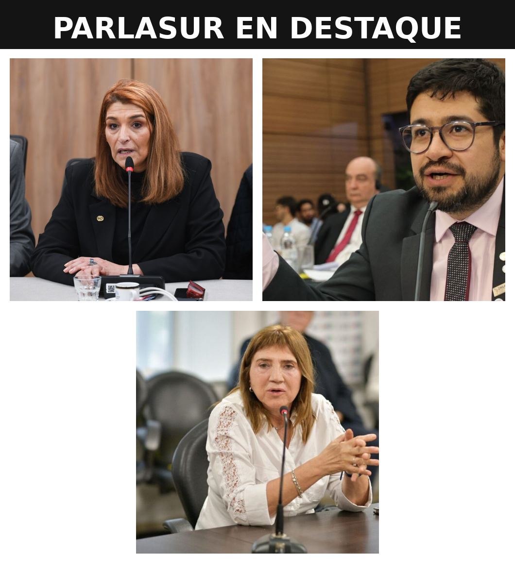 Tres voces del PARLASUR sostuvieron esta semana una agenda concreta sobre mujeres, ruralidad y migración