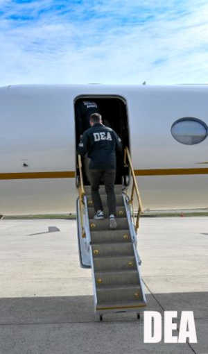 “La búsqueda ha terminado”