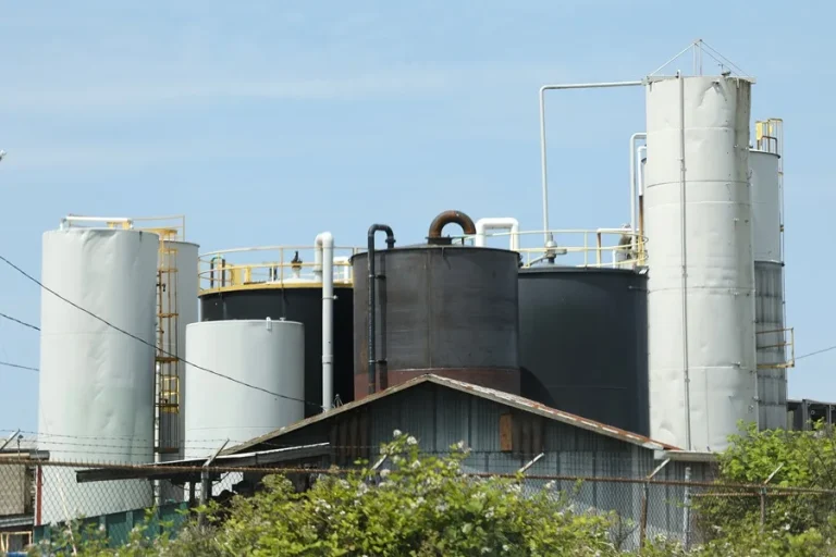 petroleo