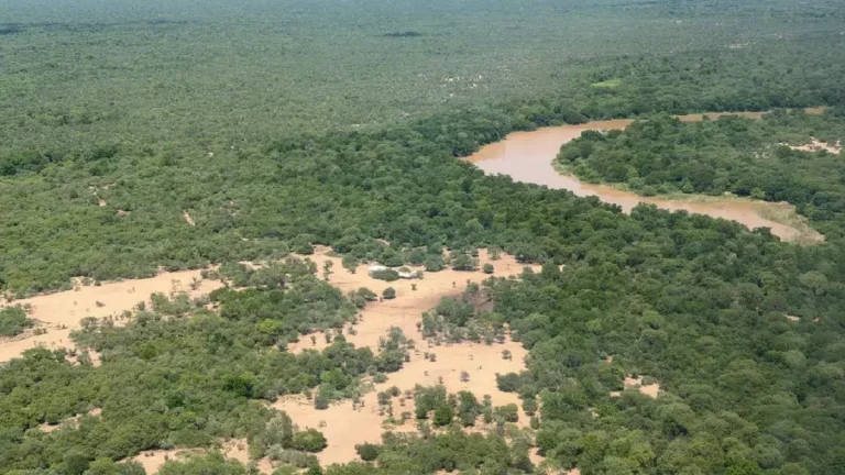El gobierno de Salta refuerza el monitoreo de ríos y la asistencia en el norte ante nuevas crecidas del Bermejo y Pilcomayo