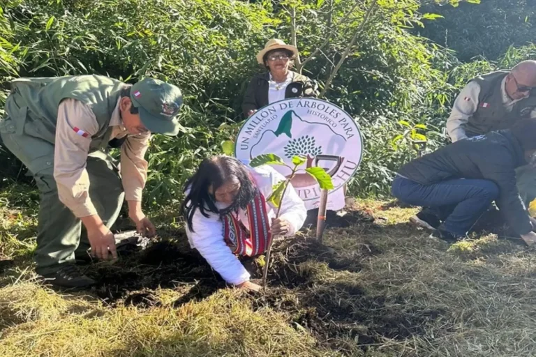 Un millón de árboles para Machu Picchu: campaña de reforestación con especies nativas y participación comunitaria