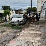 Un fuerte temporal provocó caída de árboles y voladura de techos en distintos puntos de la ciudad