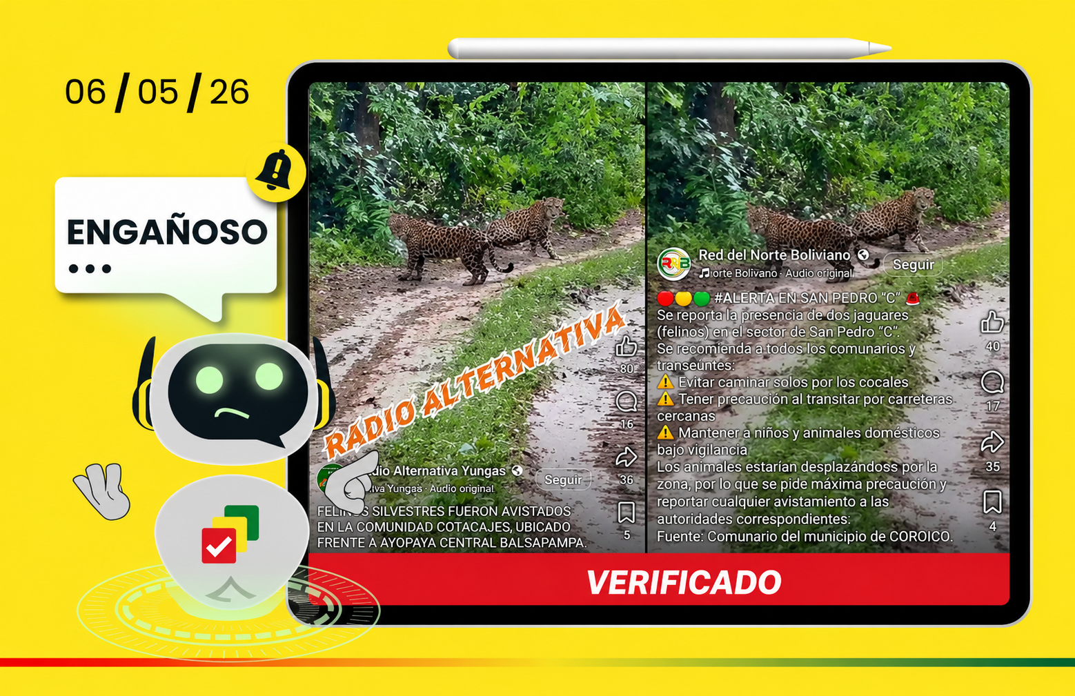 Engañoso: Video viral de jaguares no corresponde a Coroico