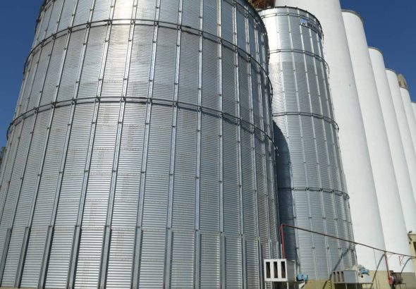 ¿Una respuesta a los molinos?: el Gobierno destacó el crecimiento de la molienda de trigo pan