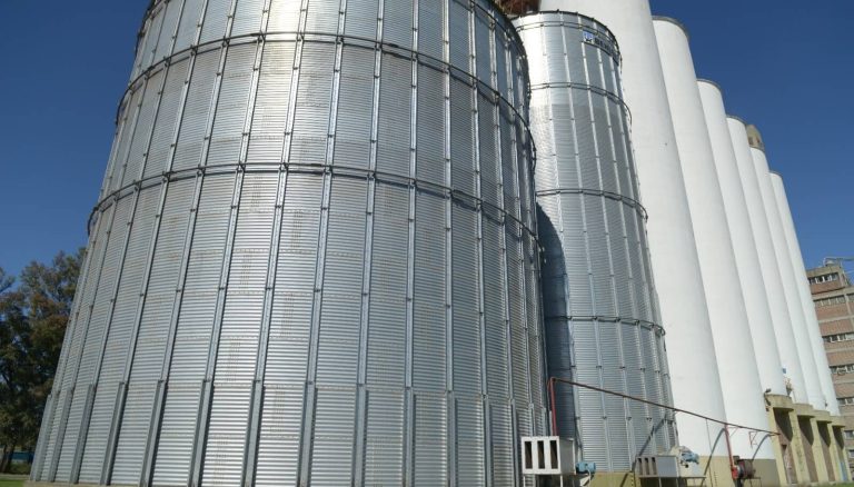 ¿Una respuesta a los molinos?: el Gobierno destacó el crecimiento de la molienda de trigo pan
