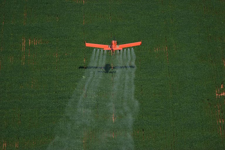 Greenpeace repudia la absolución en el juicio por contaminación con agrotóxicos en Pergamino