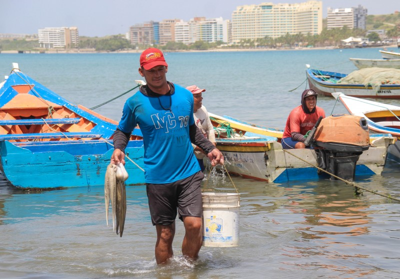 Temporada de pulpo en Margarita arranca con capturas moderadas y presión por costos operativos
