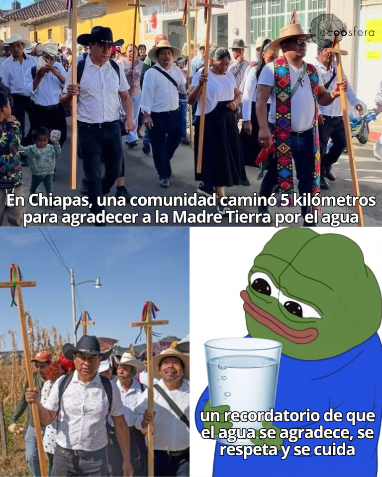 400 personas caminaron 5 km en Chiapas para pedir agua a la Madre Tierra