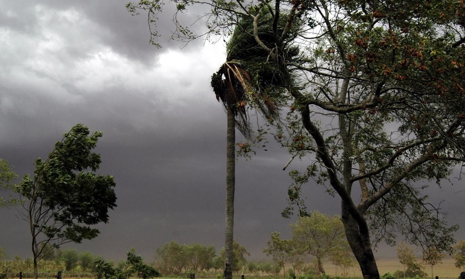 Alerta de tormentas en Paraguay: ¿cuáles son los 6 departamentos afectados? Alerta de tormentas en Paraguay: ¿cuáles son los 6 departamentos afectados?