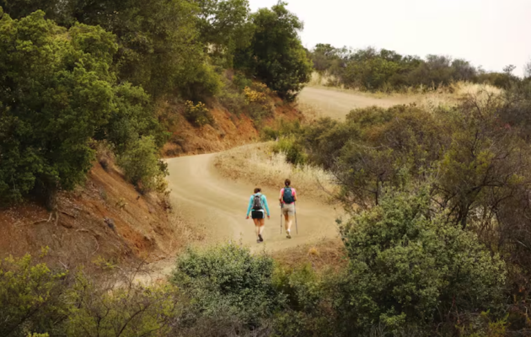 Arnold Schwarzenegger y una donación de hectáreas para proteger las montañas y ampliar el corredor natural de California