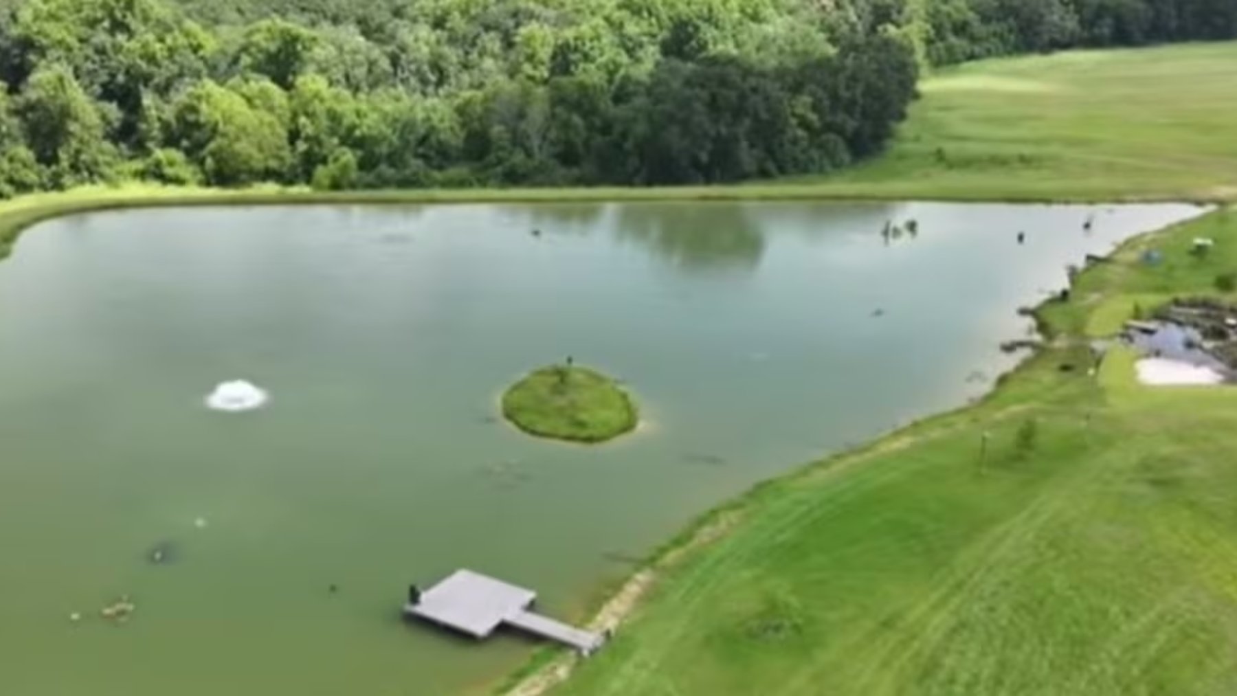 Convirtió un campo de cacahuetes de Alabama en un lago para pescar y 1.000 días después lo visitan águilas calvas, ciervos y búhos Convirtió un campo de cacahuetes de Alabama en un lago para pescar y 1.000 días después lo visitan águilas calvas, ciervos y búhos