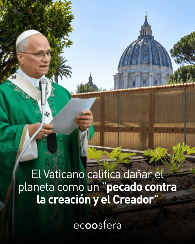 Dañar el medioambiente ya tiene nombre en el catecismo: pecado contra la Creación