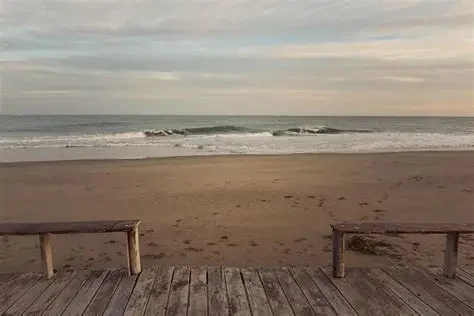 Denuncian movimientos de arena con maquinaria en una playa de Mar del Plata y se reaviva el debate la protección de la costa
