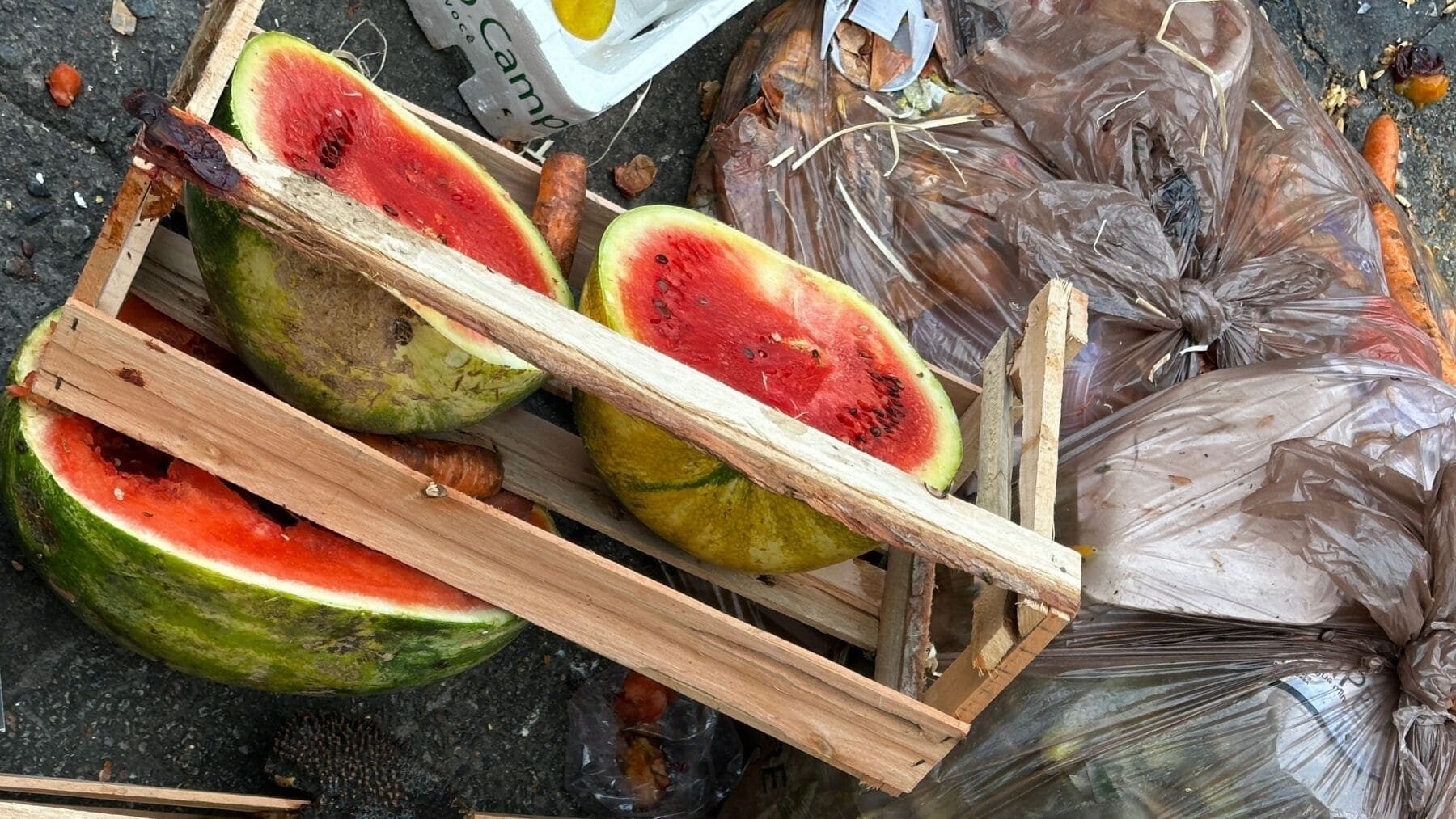 Día Internacional de Concienciación sobre la Pérdida y el Desperdicio de Alimentos 2026: el reto global para dejar de tirar comida Día Internacional de Concienciación sobre la Pérdida y el Desperdicio de Alimentos 2026: el reto global para dejar de tirar comida