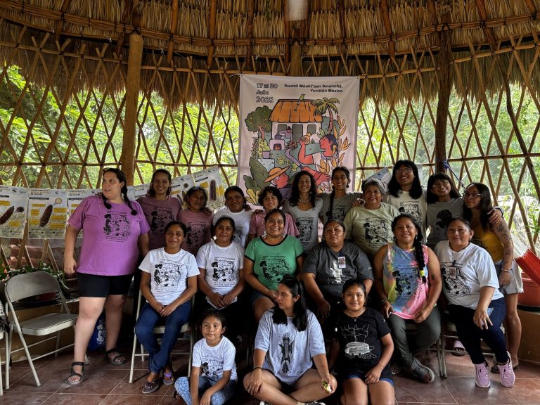 Día Mundial de las Abejas: tres iniciativas de mujeres indígenas para proteger a estos polinizadores en Latinoamérica