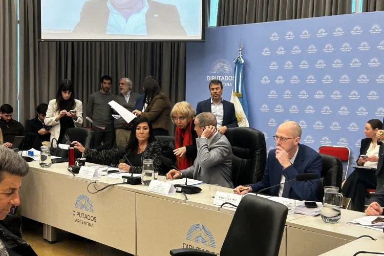 Discapacidad: El oficialismo reunió a los aliados y se encamina a quedarse con el dictamen