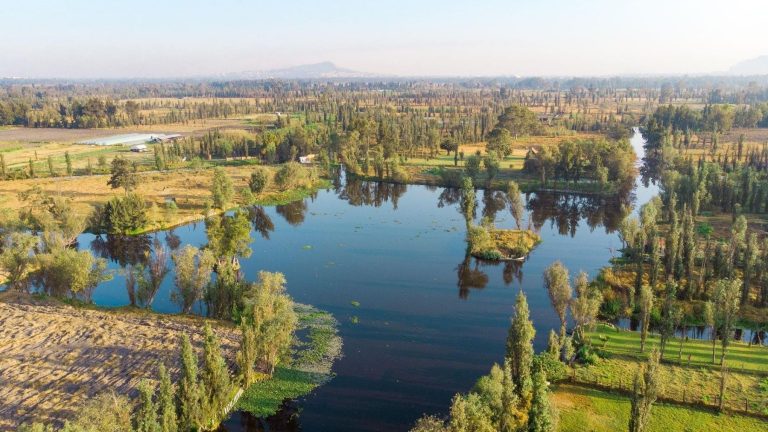 Documental «Chinamperos» impulsa sostenibilidad y diálogo sobre chinampas de Xochimilco en la COP30