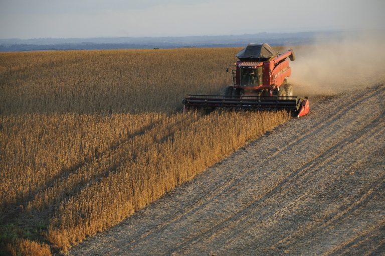 El Niño se intensificará en la región, pero Capeco descarta un escenario destructivo