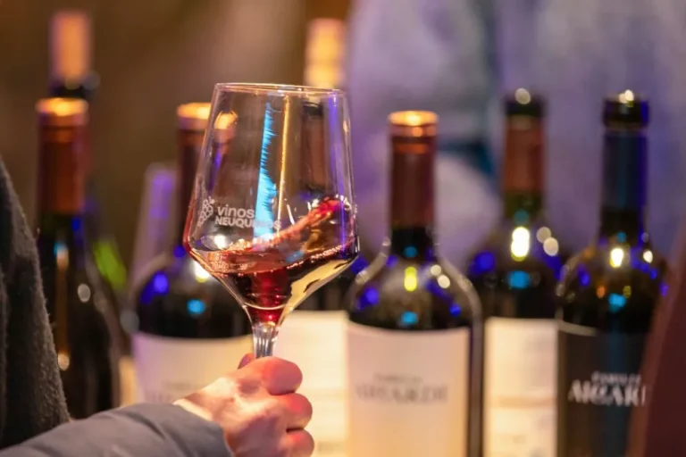 El Pinot Noir es oficialmente la cepa emblema de Neuquén