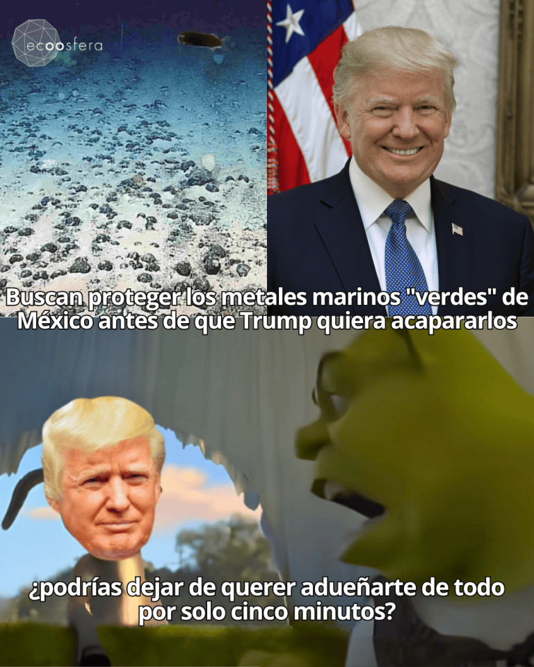 El tesoro bajo el mar mexicano que Trump ya puso en la mira desde 2025