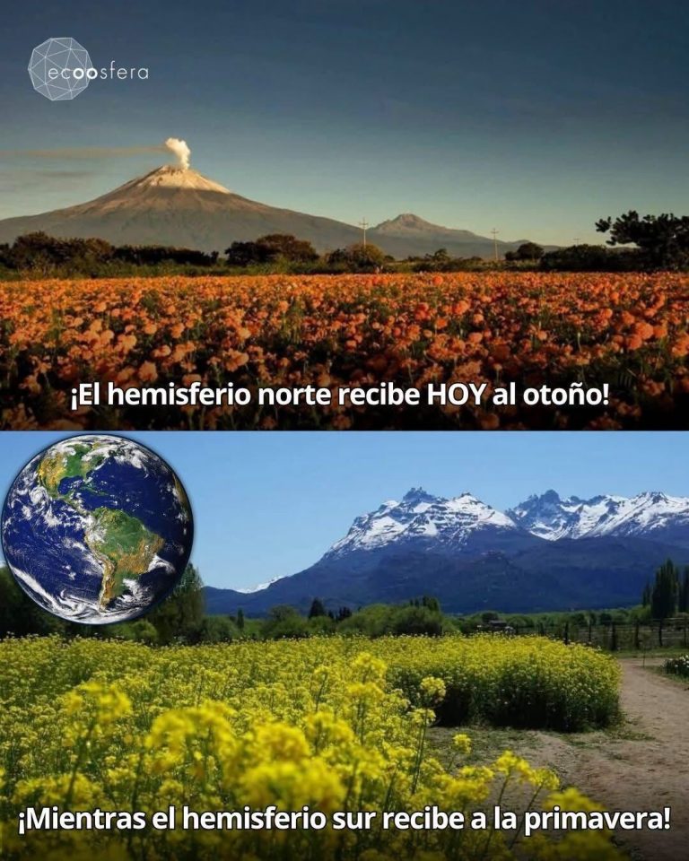 Equinoccio de septiembre: el día en que el planeta vive dos estaciones a la vez