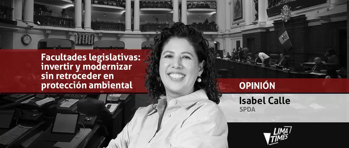 Facultades legislativas: invertir y modernizar sin retroceder en protección ambiental Facultades legislativas: invertir y modernizar sin retroceder en protección ambiental