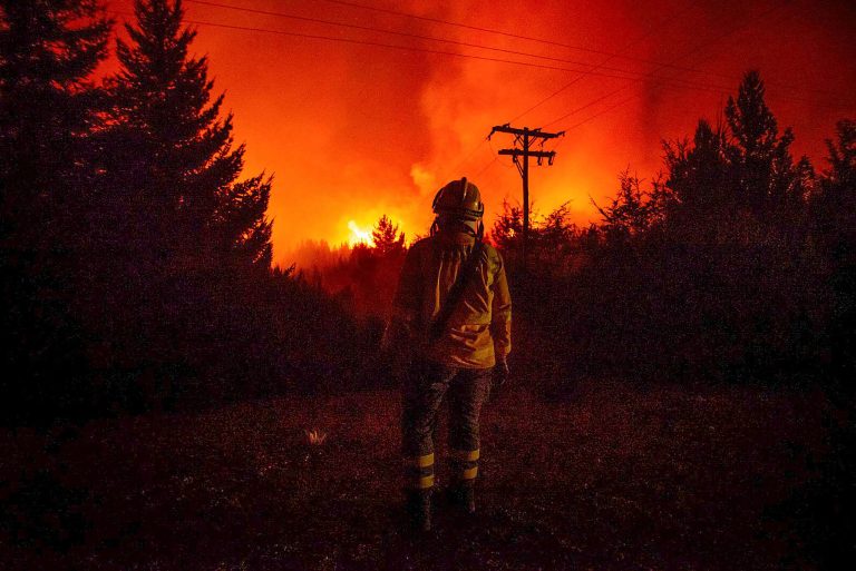 Incendios forestales: Greenpeace reclama no flexibilizar las leyes ambientales y aumentar prevención y presupuesto