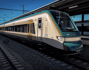 La arqueología y el bienestar del Caribe Mexicano conectados por El Tren Maya