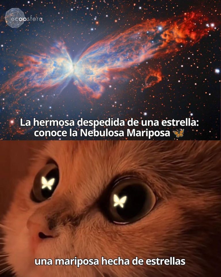 La Nebulosa Mariposa: una estrella que muere en 200,000 °C de belleza