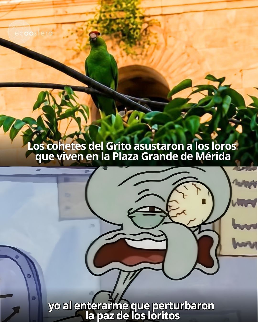 La pirotecnia del Grito saca a los loros de la Plaza Grande de Mérida