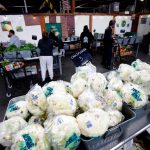 La propiedades del sulforafano, un compuesto presente en el brócoli