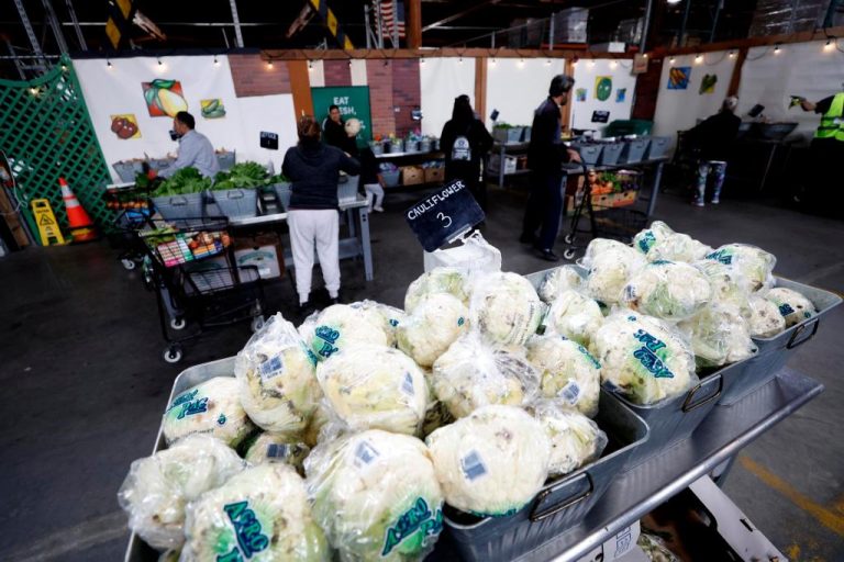 La propiedades del sulforafano, un compuesto presente en el brócoli