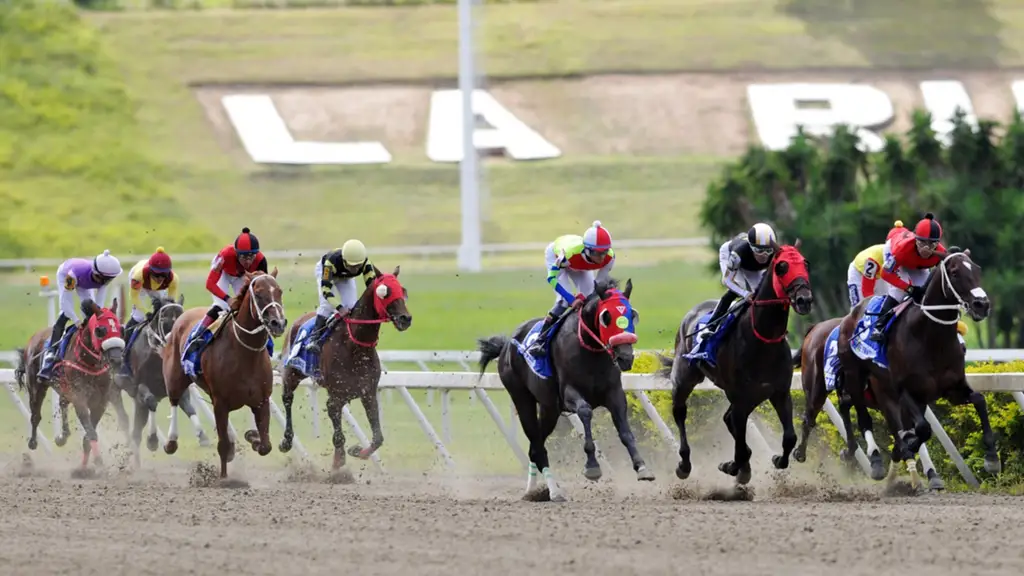 Ls Rinconada LA RINCONADA: Jaime Lugo Jr. y Riccardo D’Angelo con cuatro triunfos ...