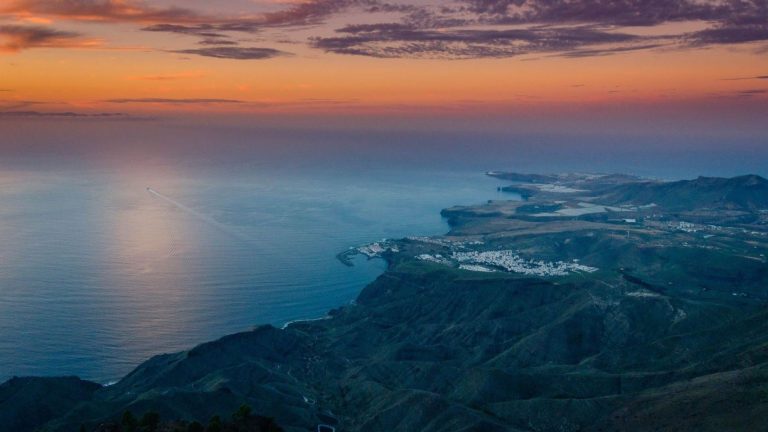 Las macroalgas de Canarias están cambiando: 30 años de datos revelan dos archipiélagos ecológicos bajo el agua